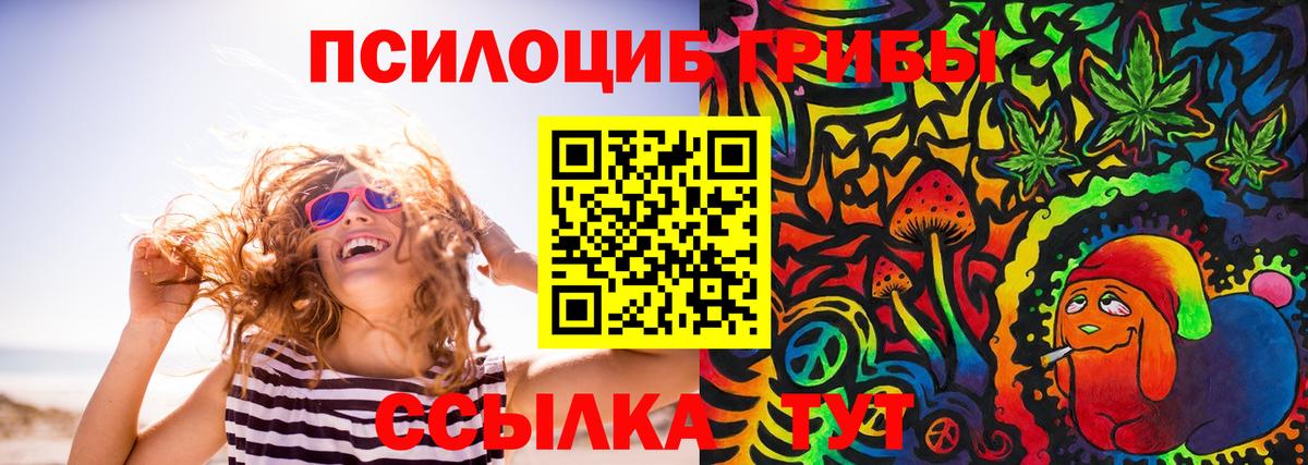 Волжск  Псилоцибиновые грибы GOLDEN TEACHER  Вход с VPN 